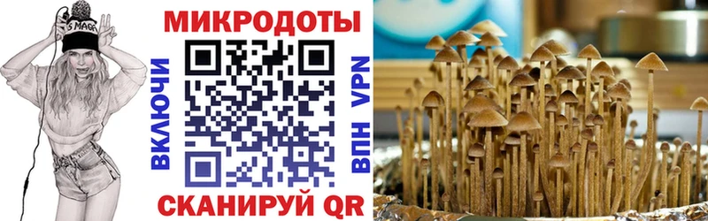 Галлюциногенные грибы GOLDEN TEACHER  Купить закладки  Балтийск 